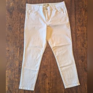Democracy Ab Solution White Skinny Jeans